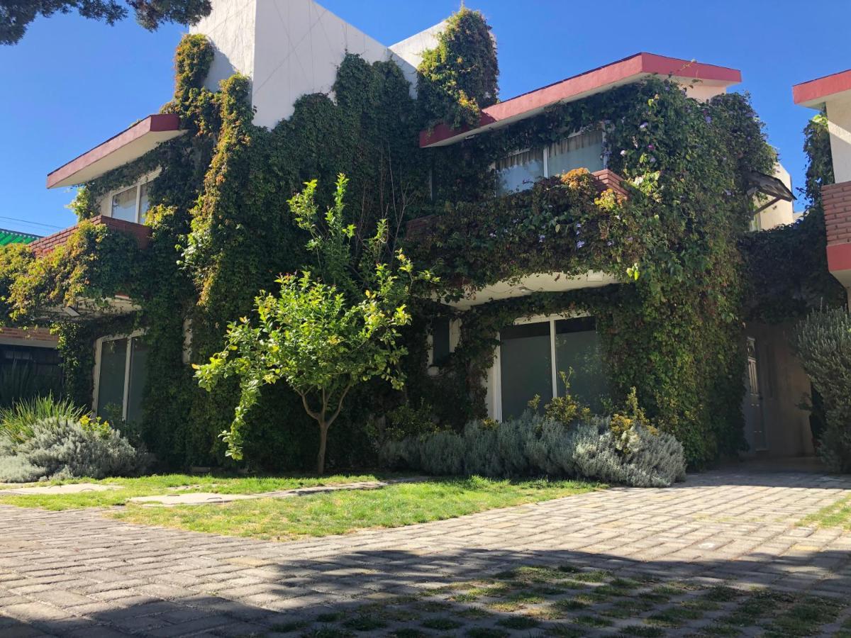 Privada 400 Aparthotel Pachuca Exterior photo